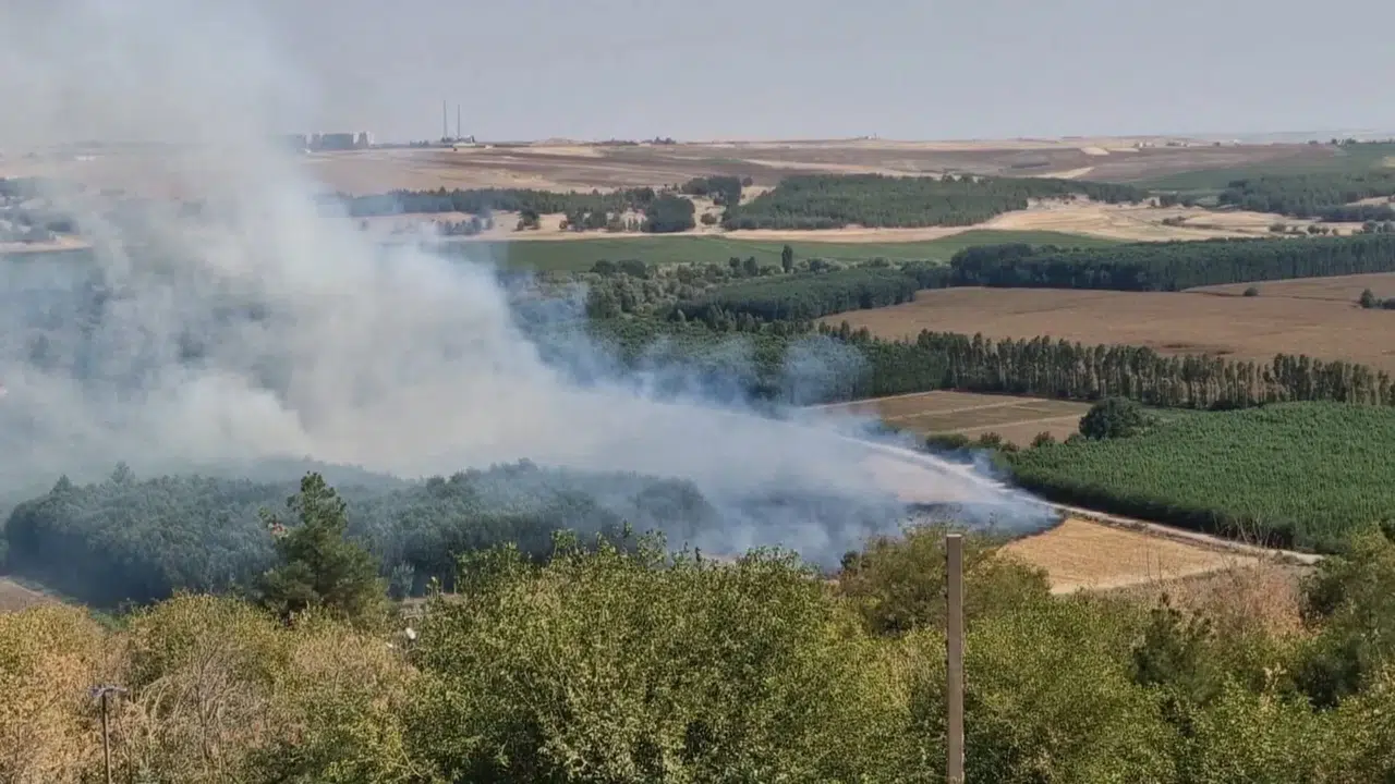 Hevsel Bahçeleri’nde çıkan anız yangını söndürüldü