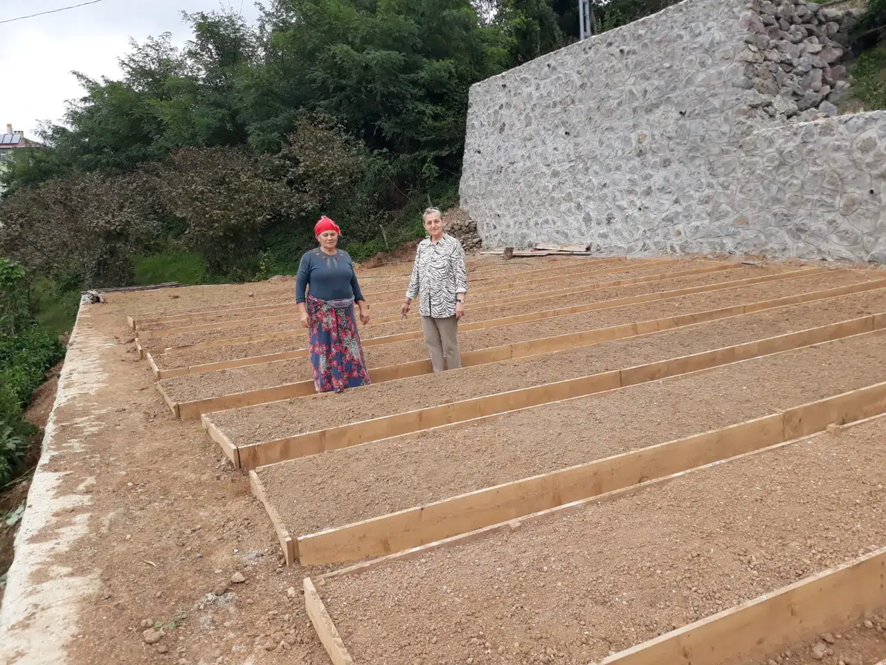 Trabzon'da Salep Üretimiyle Tarımsal Faaliyetler Destekleniyor