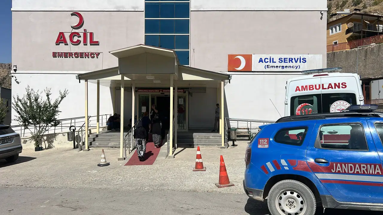 Hakkari'de ceviz toplarken düşen 70 yaşındaki adam hayatını kaybetti