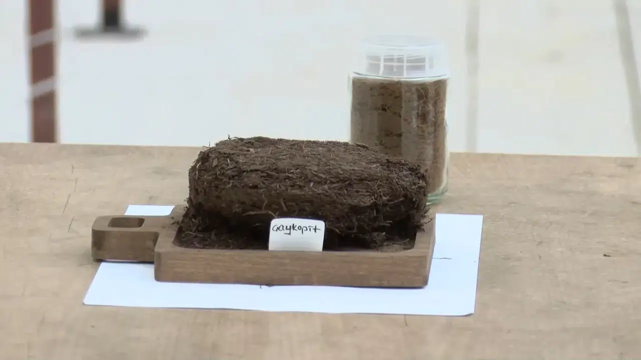 Çay Atığından Topraksız Tarım Ürünü: 'Kokopit'e Yerini Bırakan 'Çaykopit'