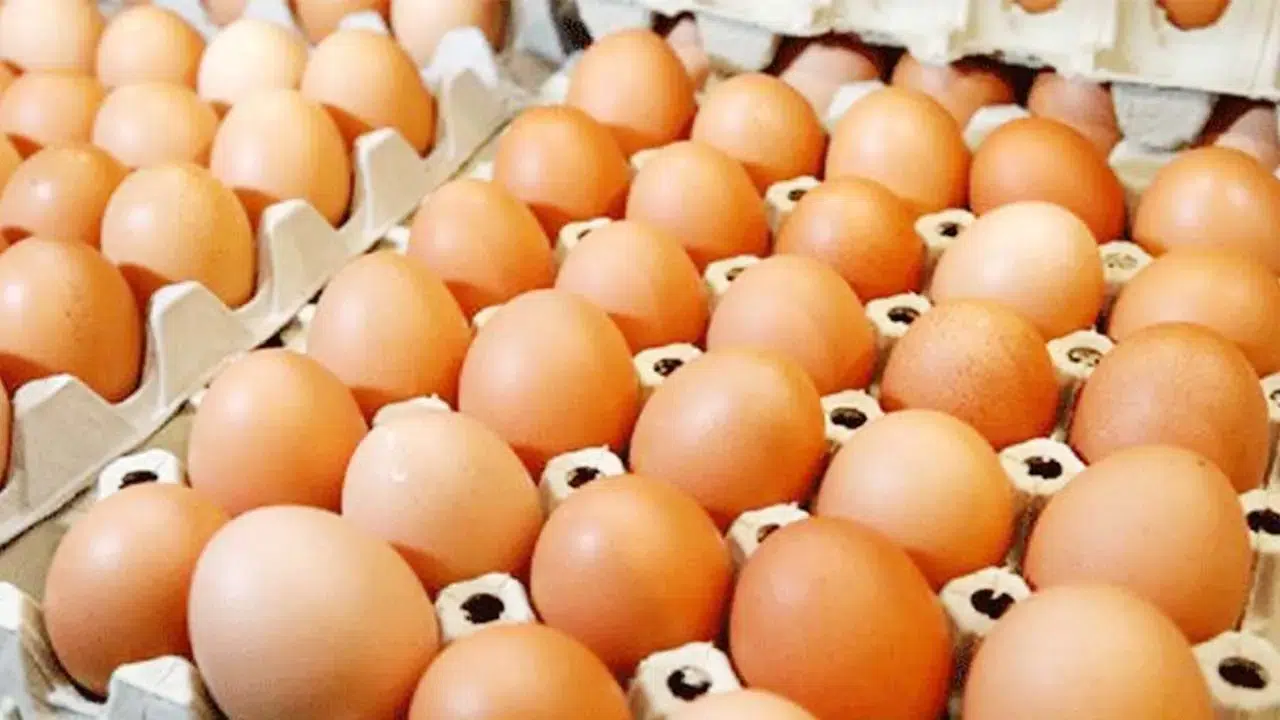 Yumurtanın Tazeliğini Anlamak İçin 5 Pratik Yöntem!