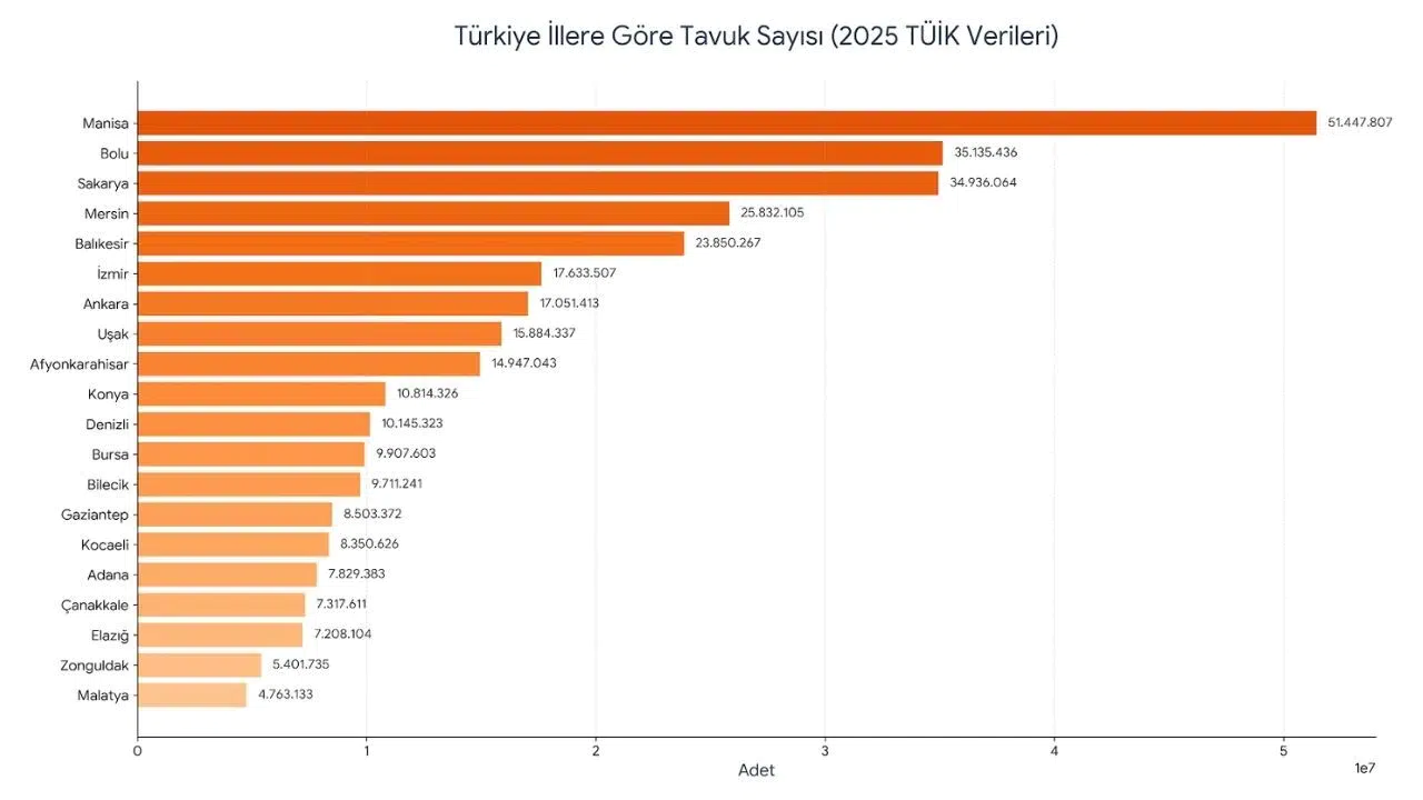 TÜİK Verilerine Göre Türkiye'nin Tavuk Popülasyonu En Yüksek Olan İli Belli Oldu!