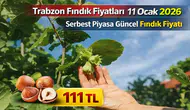 Trabzon fındık fiyatları - 11 Ocak 2026 serbest piyasa güncel fındık fiyatı