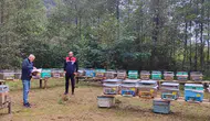 Trabzon Sürmene’de Arılı Kovan Desteği İçin Saha Kontrolleri Yapılıyor