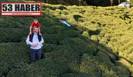 Çay Bahçesinde Bayrak Sevgisi: Rize'de Fark Yaratan Özgün Çalışma