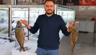 Denizi yok ama 20.000 ton üretiliyor! Kahramanmaraş’tan 54 ülkeye ihraç ediliyor