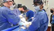 Organ naklinde yeni araştırma: Yaşlı kalpler gençleşebiliyor