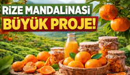RTEÜ’den Rize Mandalinası Hamlesi: Meyve ve Kabuğundan 15 Ürün Üretilecek
