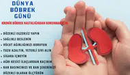 12 Mart Dünya Böbrek Günü: Sağlıklı Çevre, Sağlıklı Böbrekler İçin Farkındalık Çağrısı