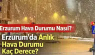 14 Mart 2026 Erzurum Hava Durumu: Kar Yağışı Bekleniyor mu, Sıcaklık Kaç Derece Olacak?