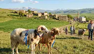 2026 Kurban Bayramı Tatili Ne Kadar Sürecek?