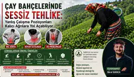 Çay Bahçelerinde Sessiz Tehlike: Yanlış Çalışma Pozisyonları Kalıcı Ağrılara Yol Açabiliyor