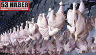 Mart Ayında Tavuk Eti ve Yumurta Üretiminde Rekor Artış!