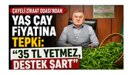 Çayeli Ziraat Odası’ndan Yaş Çay Fiyatına Tepki: 35 TL Yetmez, Destek Şart