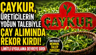 ÇAYKUR, üreticilerin yoğun talebiyle çay alımında rekor kırdı, limitli uygulama devreye girdi