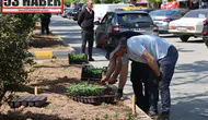 Arhavi’de Peyzaj Seferberliği: Cadde ve Meydanlar Çiçeklerle Renklendi