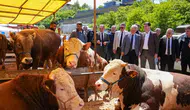 Ortahisar Belediyesi Kurban Bayramı Hazırlıklarını Tamamladı