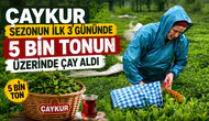 ÇAYKUR, 2026 sezonunun ilk 3 gününde 5 bin 600 ton çay aldı