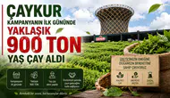ÇAYKUR Genel Müdürü: 2026 yaş çay kampanyası 900 ton alımla başladı!
