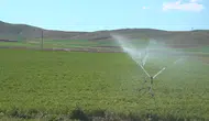 Bayburt Pınargözü Göleti Sulama Projesinde Çalışmalar Sürüyor