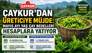 ÇAYKUR Mayıs Ayı Yaş Çay Bedellerini Bugün Hesaplara Yatırıyor