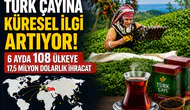 Türk Çayına Küresel İlgi Artıyor! 6 Ayda 108 Ülkeye 17,5 Milyon Dolarlık İhracat