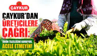 ÇAYKUR'dan üreticilere hasat uyarısı: Acele etmeyin, tazelik koruma önceliği!