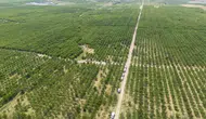 Kazancını katlamak isteyene tarımda yeni sistem! Tüm köyde verim 30 katına çıktı