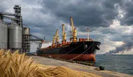 Buğday fiyatları Karadeniz saldırılarıyla yükseldi