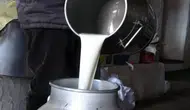 Ulusal Süt Konseyi, Çiğ Süt Tavsiye Fiyatında Değişiklik Yapmadı