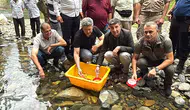 Güneysu Derelerine Doğal Alabalık Bırakıldı