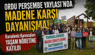 Ordu Perşembe Yaylası'nda Madene Karşı Dayanışma: Karadeniz Karıncaları Yaşam Nöbetine Katıldı
