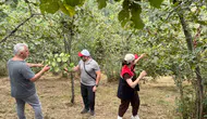 Kahverengi Kokarca ile Biyolojik Mücadelede İlk Bulgular Sevindirdi