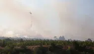 5 Şehirdeki Orman Yangınlarının Sonuçları Açıklandı