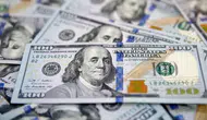 Merkez Bankası Rezervleri Rekor Kırarak 164 Milyar Doları Geçti!