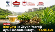Rize Çayı ile Zeytin Yaprağı Aynı Fincanda Buluştu: Yeni Fonksiyonel Çay Tescillendi