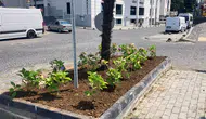 Yomra'da Parklar ve Yeşil Alanlar Yenileniyor