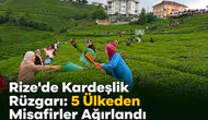Rize’de Kardeşlik Rüzgârı: 5 Ülkeden Gelen Gençler Çay Topladı