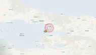 Kandilli'den Adalar'daki sarsıntılara ilişkin açıklama: 117 deprem kaydedildi