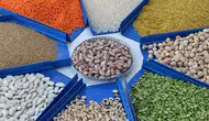 "Güvelere Karşı Etkili Önlemler: Mercimek, Pirinç, Nohut, Fasulye ve Bulgurun Korunması"