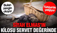 Siyah Elmas'ın Kilosu Servet Değeri Taşıyor: Türkiye'de Üretiliyor, Bulan Zenginleşiyor!
