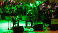 Zeytin ağacının altında “Gece Makamı” ezgileri