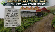 Rize’de Ayılara Yazılı Uyarı: Bu Yaylaya Ayı Giremez!