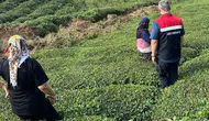 Rize’de Yoğun Yağış Sonrası Tarım Alanlarında Hasar Tespiti Başlatıldı