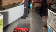 Baskınla Ortaya Çıkan Skandal: Ciğer Kavurma İmalathanesinde 500 Kilogram Sağlıksız Ürün Yakalandı!