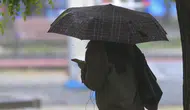 Doğu Karadeniz Bölgesi İçin Gök Gürültülü Sağanak Yağış İhtimali Uyarısı!