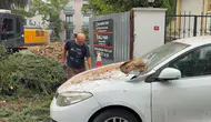 Maltepe'de korkutan kaza: Kesilen ağaç araçların üzerine düştü