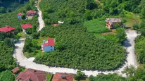 Ordu’da 1,6 Kilometrelik Grup Yolu Betonla Yeniden İnşa Ediliyor!
