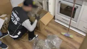 İstanbul'da Üç İlçeye Kapsamlı Uyuşturucu Baskını Gerçekleştirildi