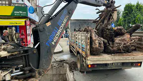 Fındıklı’da Menfezler Temizlendi: Su Taşkınlarına Karşı Önlem